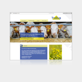 Corporate design Conception and Responsive Website for "Trollius Kalk und Dolomit"